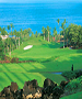 Maui Golf Course - Wailea Golf Club - Emerald Course by TeeBone Golf