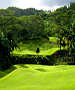 Oahu Golf Course - Luana Hills Country Club by TeeBone Golf