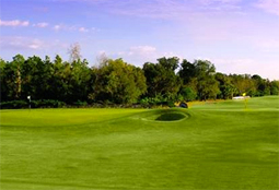 GrandCypressGolf_FL_L11.jpg - Teebone Golf Courses Images