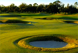 GrandCypressGolf_FL_L12.jpg - Teebone Golf Courses Images
