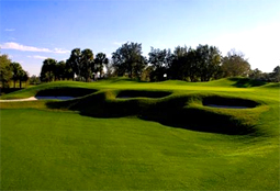 GrandCypressGolf_FL_L4.jpg - Teebone Golf Courses Images