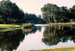 KissimmeeOaksGC_FL_golfL3.jpg - Teebone Golf Courses Images