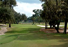 timacuangccL2_FL.jpg - Teebone Golf Courses Images