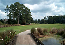 timacuangccL3_FL.jpg - Teebone Golf Courses Images