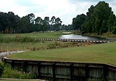 timacuangccL4_FL.jpg - Teebone Golf Courses Images