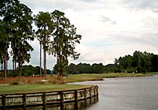 timacuangccL5_FL.jpg - Teebone Golf Courses Images