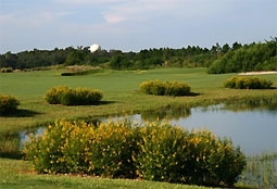 royalstcloudL3_FL.jpg - Teebone Golf Courses Images