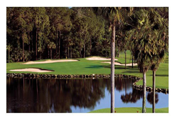 Tranquilo Golf Club (Formerly Osprey Ridge)  - golf tee times and golf packages