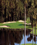 Disney's Osprey Ridge - Photo by Teebone Golf