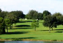 GreenValley_FL_golfL5.jpg - Teebone Golf Courses Images