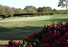 hiddenhillsccL2_FL.jpg - Teebone Golf Courses Images