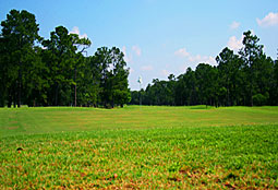 RioPinarCountryClub_FL_L3.jpg - Teebone Golf Courses Images