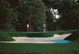windermereccL2_FL.jpg - Teebone Golf Courses Images