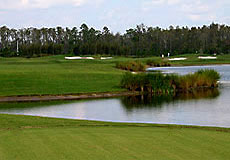 Shingle Creek Golf Club  - golf tee times and golf packages