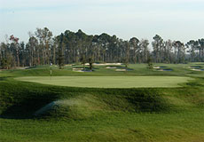 shinglecreekL3_FL.jpg - Teebone Golf Courses Images