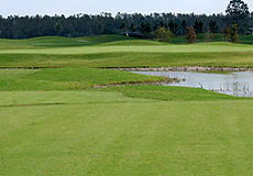 shinglecreekL4_FL.jpg - Teebone Golf Courses Images