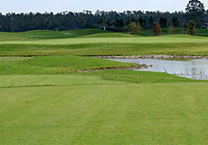 shinglecreekL4_FL.jpg - Teebone Golf Courses Images
