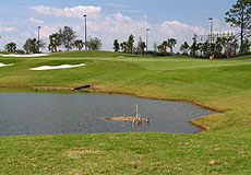 shinglecreekL5_FL.jpg - Teebone Golf Courses Images