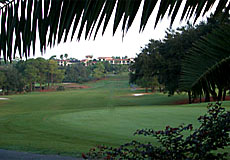 missioninnelcampeonL5_FL.jpg - Teebone Golf Courses Images