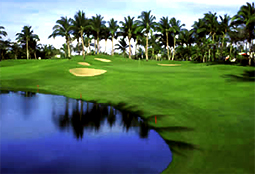 Grupo Mayan Course