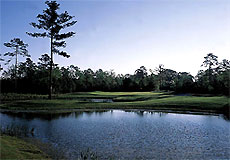 eaglespointegcL3_SC.jpg - Teebone Golf Courses Images