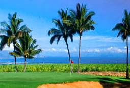 Pukalani Country Club  - golf tee times and golf packages