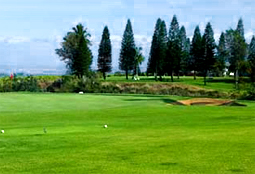 PukalaniCC_HI_golfL2.jpg - Teebone Golf Courses Images