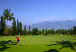 PukalaniCC_HI_golfL3.jpg - Teebone Golf Courses Images
