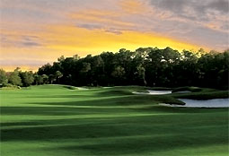 Harmony Golf Preserve  - golf tee times and golf packages
