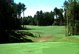 Glacier Wood Golf Club - golf tee ...