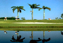 RemingtonGC_FL_golfL3.jpg - Teebone Golf Courses Images