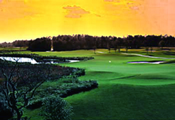 celebrationgcL2_FL.jpg - Teebone Golf Courses Images
