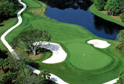 celebrationgcL3_FL.jpg - Teebone Golf Courses Images