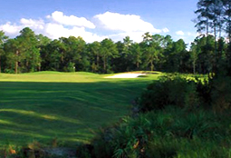 Stoneybrook East Golf Club  - golf tee times and golf packages