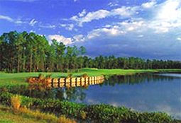 stoneybrookeastL3_FL.jpg - Teebone Golf Courses Images