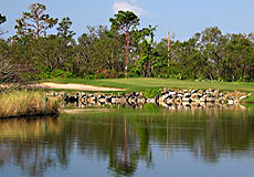 diamondbackL2_FL.jpg - Teebone Golf Courses Images