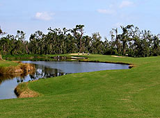 diamondbackL4_FL.jpg - Teebone Golf Courses Images