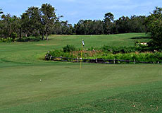diamondbackL6_FL.jpg - Teebone Golf Courses Images