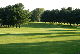 prairieduchienL2_WI.jpg - Teebone Golf Courses Images