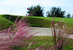 BridgewaterGolfClub_FL_L3.jpg - Teebone Golf Courses Images