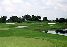 falconsfiregcL2_FL.jpg - Teebone Golf Courses Images