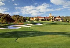 falconsfiregcL3_FL.jpg - Teebone Golf Courses Images