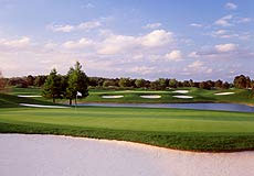 falconsfiregcL5_FL.jpg - Teebone Golf Courses Images