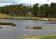 themajorsgcL4_FL.jpg - Teebone Golf Courses Images