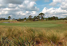 themajorsgcL5_FL.jpg - Teebone Golf Courses Images