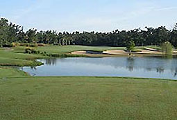stonegateoaksL4_FL.jpg - Teebone Golf Courses Images