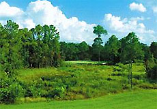 championsgatenationalL3_FL.jpg - Teebone Golf Courses Images