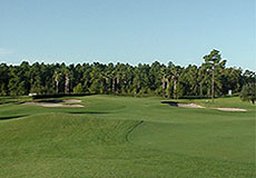 Eastwood Golf Club  - golf tee times and golf packages