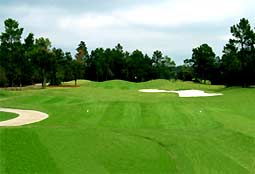 Forest Lake  - golf tee times and golf packages