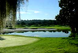 ForestLakeGolfClub_FL_L3.jpg - Teebone Golf Courses Images